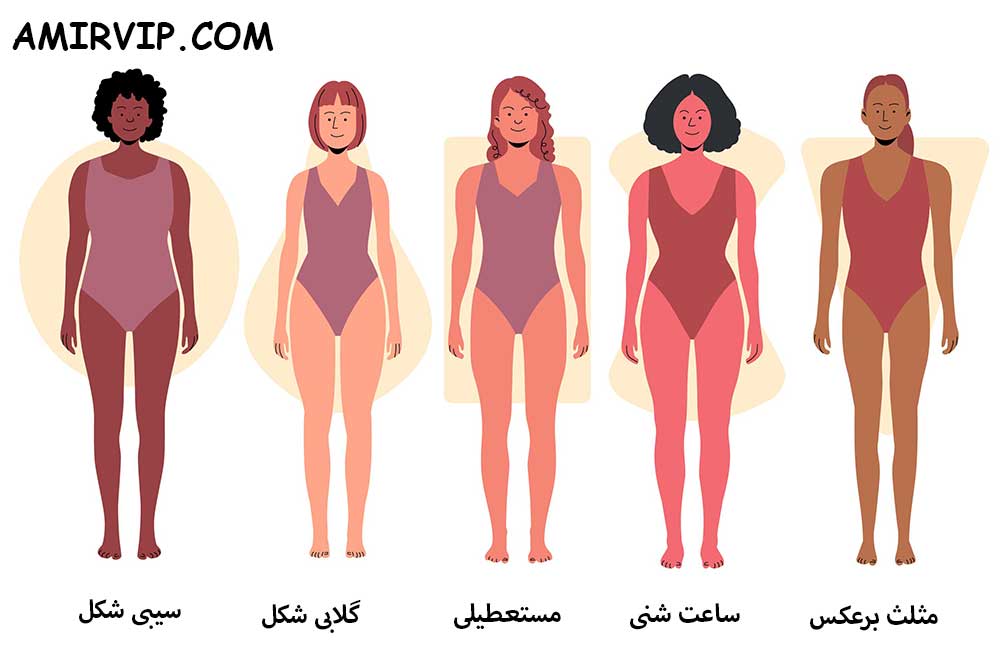 معرفی انواع فرم بدن زنانه